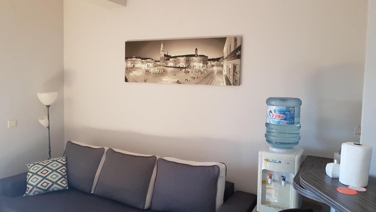 Apartment Viktor,Parking Eszék Kültér fotó